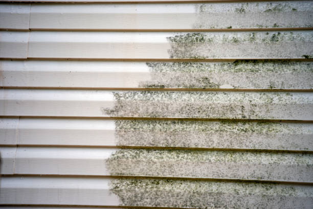 Professional Siding Services in Dekal, IL